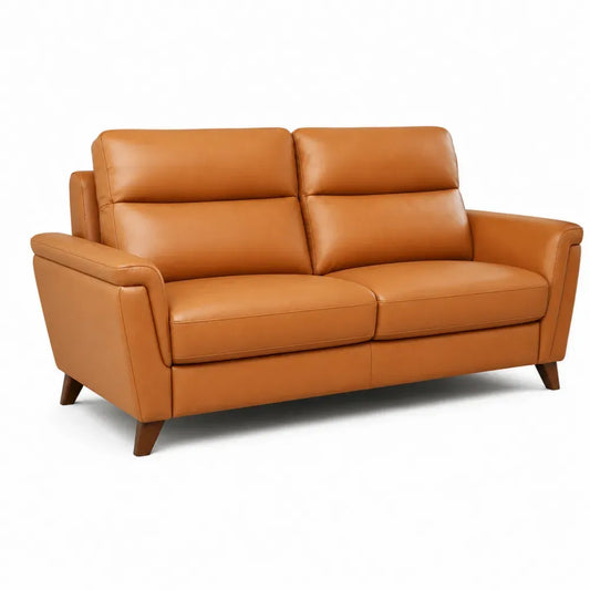 Zweisitzer Sofa mit Armlehnen 168 x 86 x 90 cm PU Kunstleder Kautschukholz 2 Sitzkissen Cognacbraun Braun